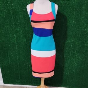 BOLD elements Multicolor Striped Midi Dress